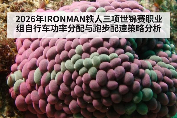 2026年IRONMAN铁人三项世锦赛职业组自行车功率分配与跑步配速策略分析