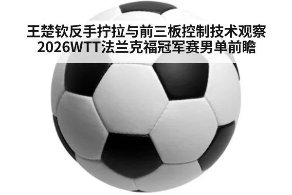 王楚钦反手拧拉与前三板控制技术观察 2026WTT法兰克福冠军赛男单前瞻